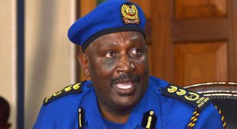 Police Officers Involved In Murder Of Embu Brothers Suspended