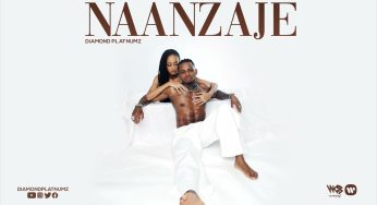 Diamond Platnumz – Naanzaje (Audio)