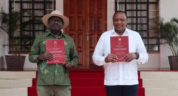 Court of Appeal throws out BBI