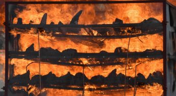 Around 2,500 Rhino Horns burned To Ashes In Assam, India
