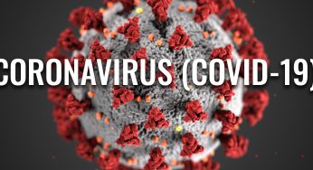 13 succumb to covid – 19 as 313 test positive