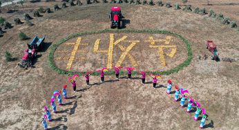 Chinese People Celebrates the 4th Chinese Farmers’ Festival Across The Country