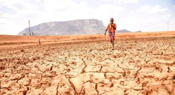 OVER 300 FAMILIES RECIEVE RELIEF FOOD IN KAJIADO
