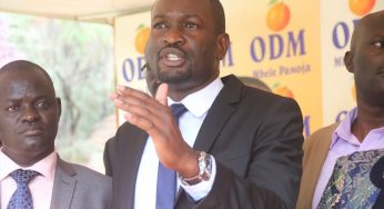 GENERAL SIFUNA- PRESIDENT KENYATTA HAS NOT ENDORSED RAILA