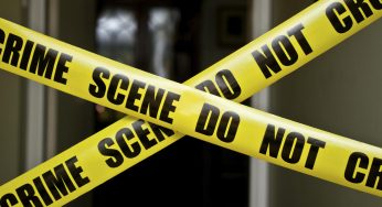 KIRINYAGA MAN KILLED FOR ALLEGEDLY STEALING AVOCADOS WORTH KSH.100