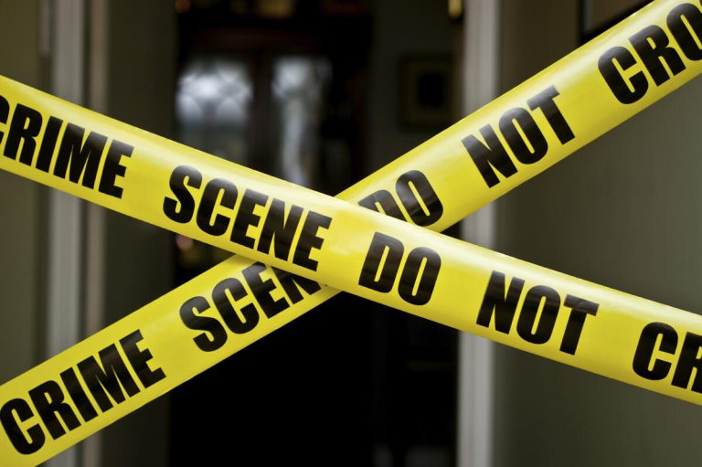 KIRINYAGA MAN KILLED FOR ALLEGEDLY STEALING AVOCADOS WORTH KSH.100