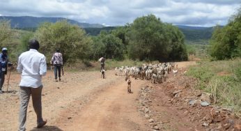 BARINGO SOUTH RESIDENTS READY TO FLEE THEIR HOMES OVER INSECURITY