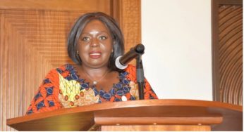 GOVERNMENT TO BUY GUESTHOUSES FOR VISITING HEADS OF STATE, DIGINITARIES