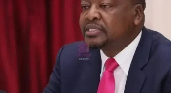 CS KAGWE APPOINTS MARRYANNE KIRUBI TO GOVERNMENT INSTITUTE