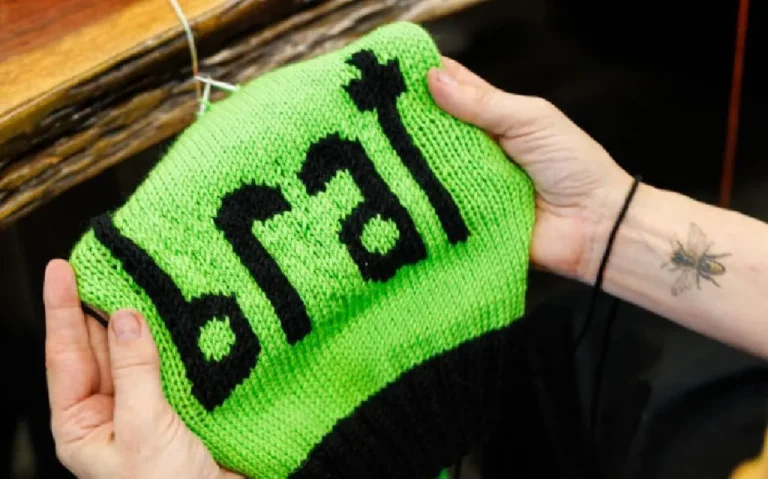 “Brat Named Collins Dictionary’s Word of the Year: A Cultural Movement Inspired by Charli XCX”