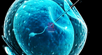 IVF: 45 Years Later, Hope and Challenges