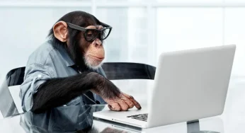 “Australian Researchers Challenge the Infinite Monkey Theorem: Writing Shakespeare is Impossible for Monkeys”