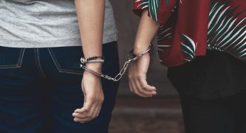 “Couple and Postal Worker Charged for Attempting to Smuggle Harvester Ants Worth KSh 300,000”