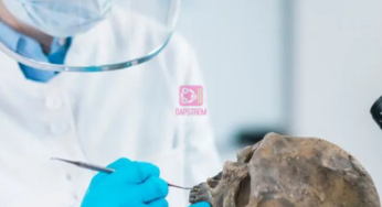 Humans Needed Neanderthals to Survive
