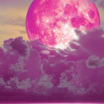 Pink Moon