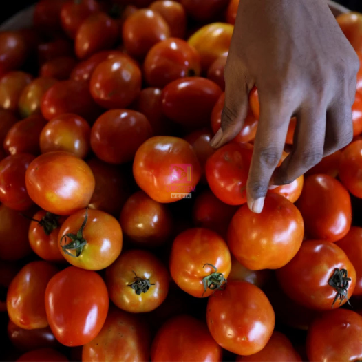 Tomato Turns Gold as Prices Skyrocket Nationwide