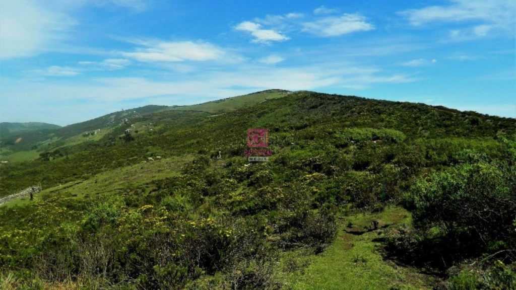 Chesongoch Disaster Triggers KSh14.7B Cherangany Hills Restoration Drive Unveiled by Murkomen