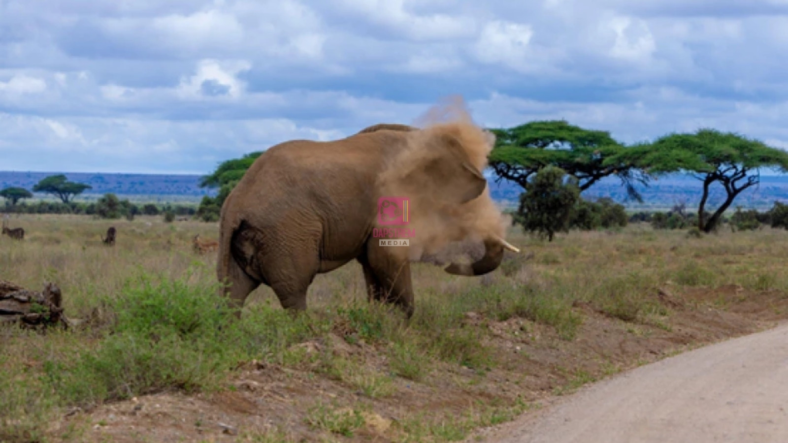 32 Victims of Wildlife Conflict in Siaya and Kisumu Receive Sh32 Million