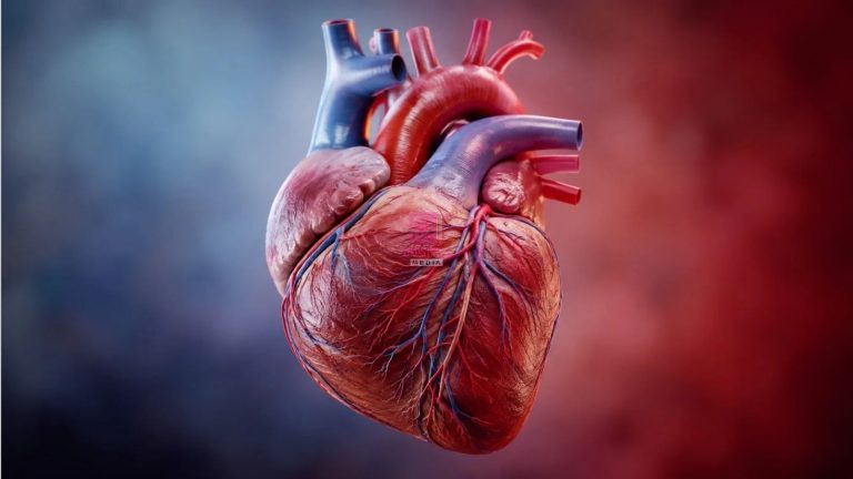 Proposed Bill Sets Sh50 Million Fine, 10-Year Jail Term for Illegal Organ Removal in Kenya