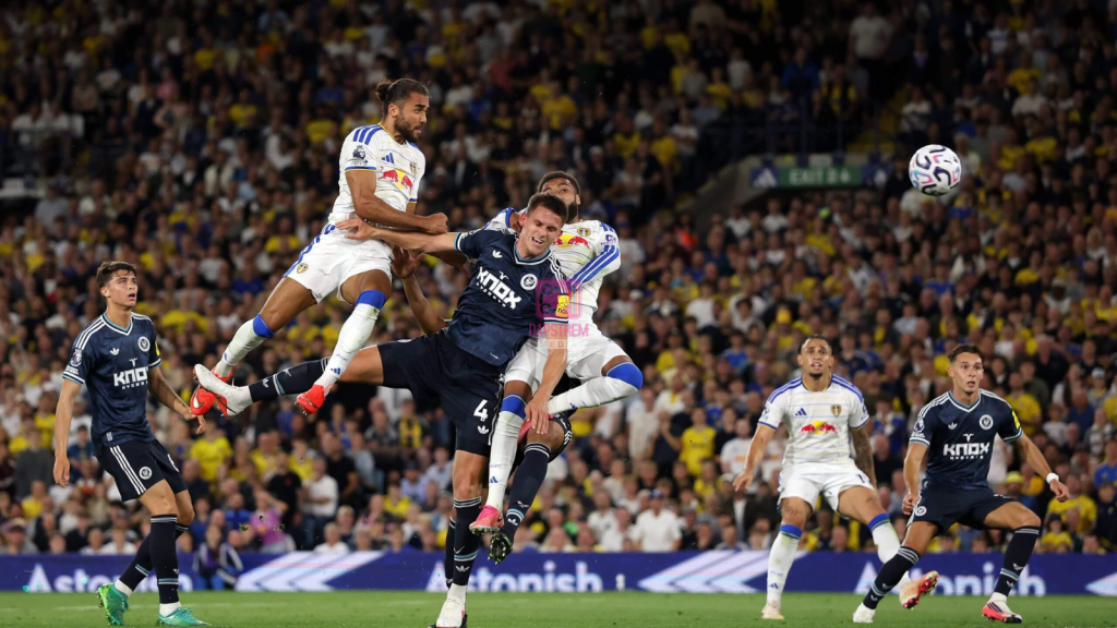 Leeds Send Newcastle Crashing as Elland Road Erupts in 4-1 Rout