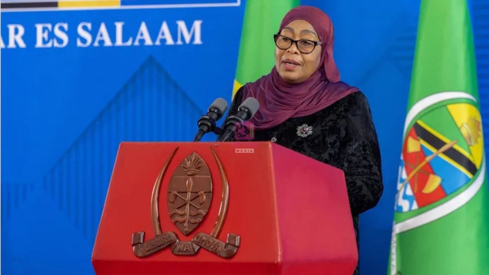 Tanzania Introduces Mandatory Travel Insurance for Foreign Visitors